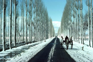 Gulmarg