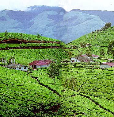 Munnar